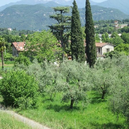 Agriturismo Bonu Gabriele سالو المظهر الخارجي الصورة