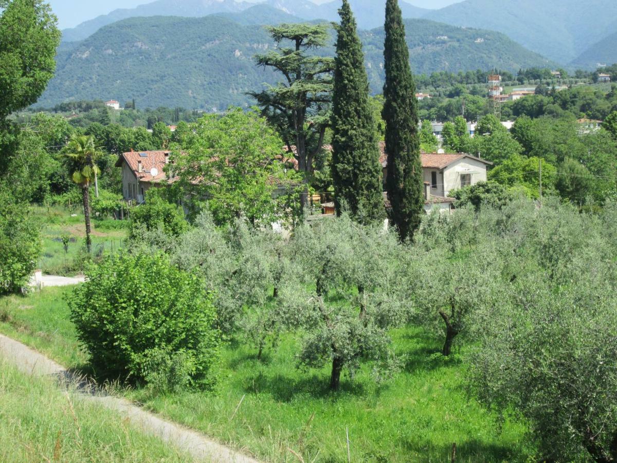 Agriturismo Bonu Gabriele سالو المظهر الخارجي الصورة